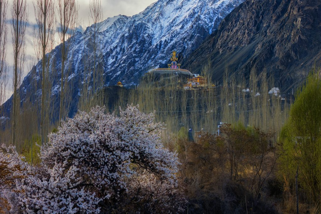 dji 20240416083757 0116 d dng dxo deepprimexd copy