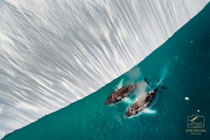 dji 20250705061735 0387 d enhanced rd copy 2